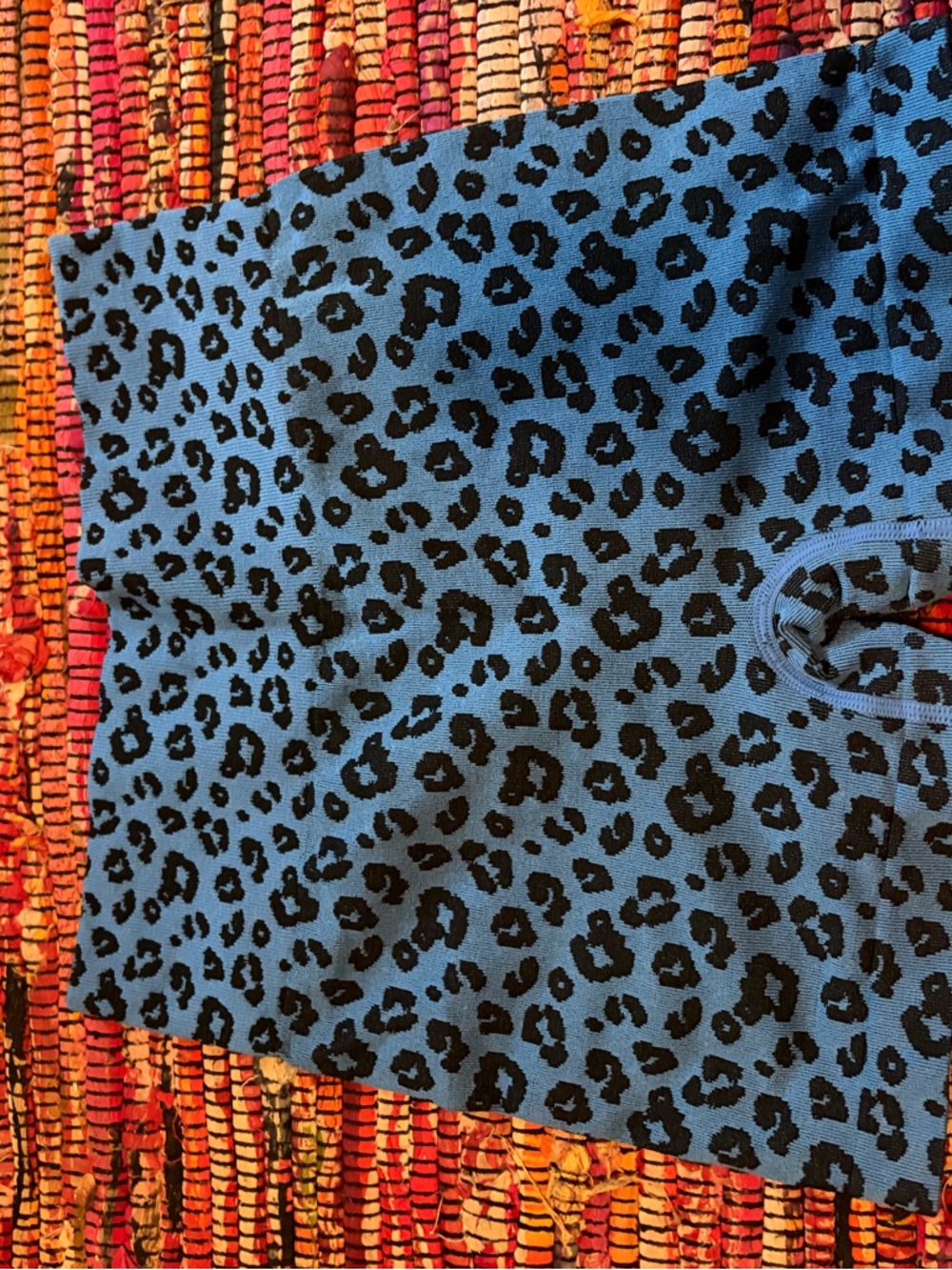 Blue Leopard Print Knit Shorts
